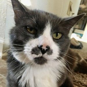 Meet your Posher, Beth